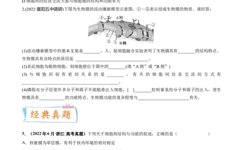 考向02细胞的基本结构-备战2023年高考生物一轮复习考点微专题（全国通用）（原卷版）_通用版（老高考）复习资料_2023年复习资料_一轮复习