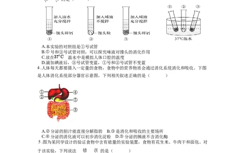 专题12人体的营养（原卷版）_6生物中考复习_2024年中考复习资料_一轮复习资料_完精准复习课件精讲ppt+习题精练备战2024年中考生物一轮复习全考点通关_配套练习