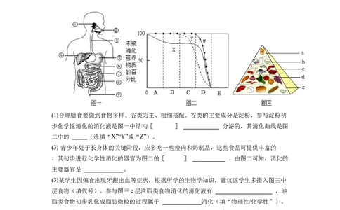 专题12人体的营养（原卷版）_6生物中考复习_2024年中考复习资料_一轮复习资料_完精准复习课件精讲ppt+习题精练备战2024年中考生物一轮复习全考点通关_配套练习