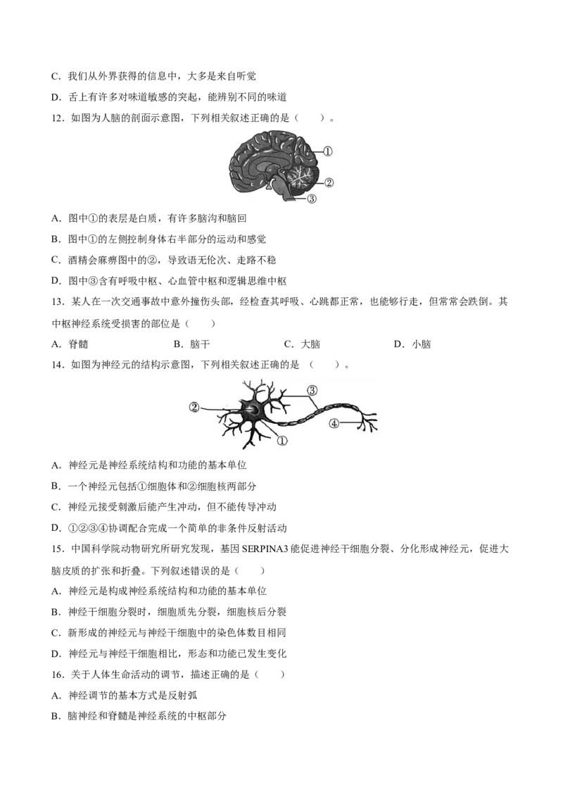 专题14人体生命活动的调节（习题精练）-省心备考2024年中考生物一轮复习精讲精练（全国通用）（原卷版）_6生物中考复习_2024年中考复习资料_一轮复习资料