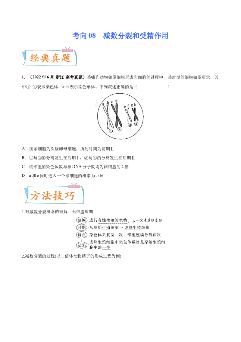 考向08减数分裂和受精作用-备战2023年高考生物一轮复习考点微专题（全国通用）（原卷版）_通用版（老高考）复习资料_2023年复习资料_一轮复习