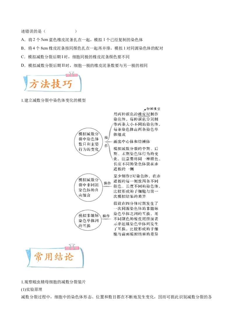 考向08减数分裂和受精作用-备战2023年高考生物一轮复习考点微专题（全国通用）（原卷版）_通用版（老高考）复习资料_2023年复习资料_一轮复习