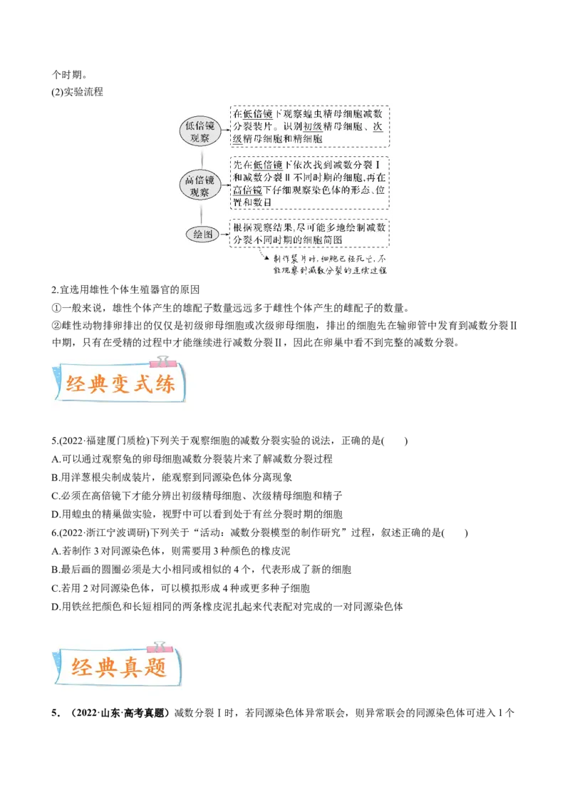 考向08减数分裂和受精作用-备战2023年高考生物一轮复习考点微专题（全国通用）（原卷版）_通用版（老高考）复习资料_2023年复习资料_一轮复习