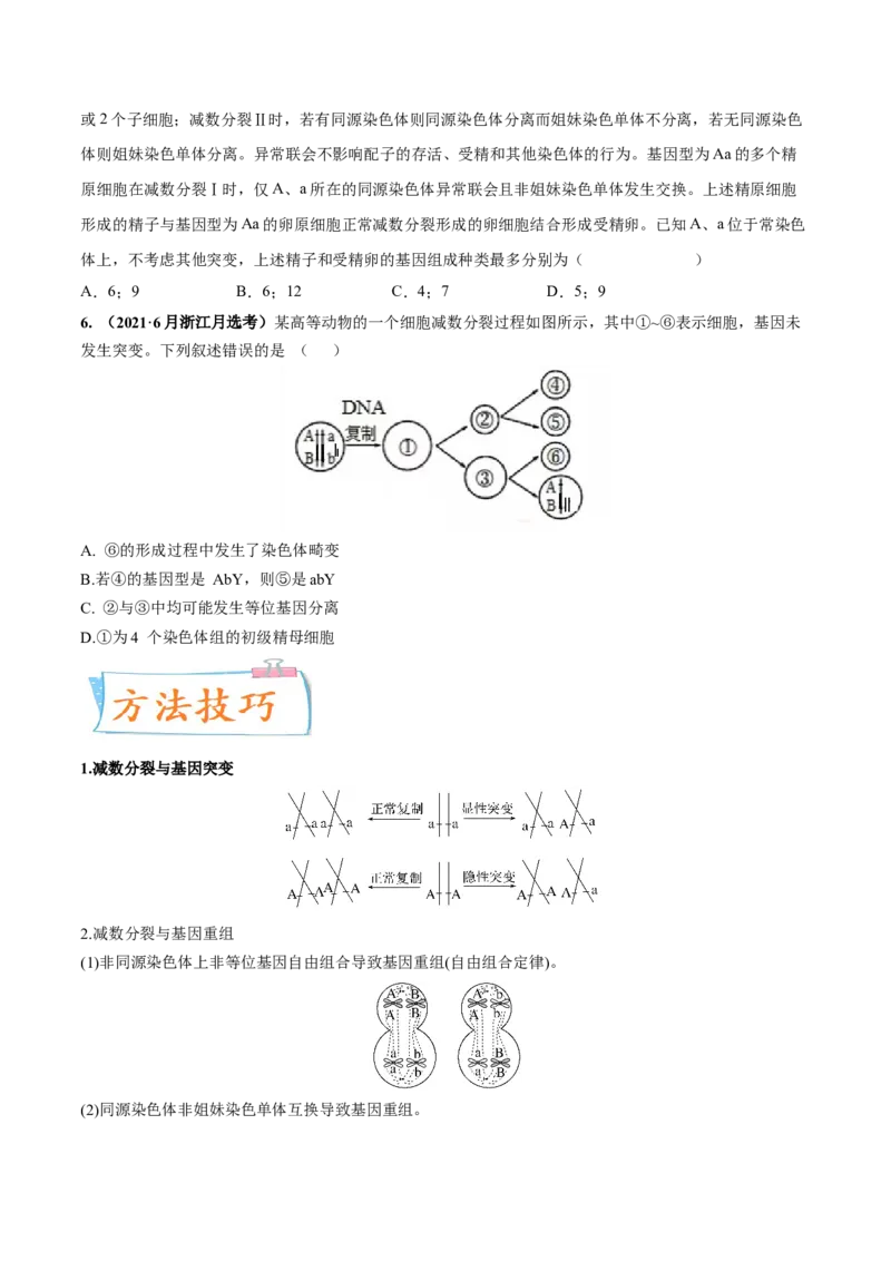 考向08减数分裂和受精作用-备战2023年高考生物一轮复习考点微专题（全国通用）（原卷版）_通用版（老高考）复习资料_2023年复习资料_一轮复习