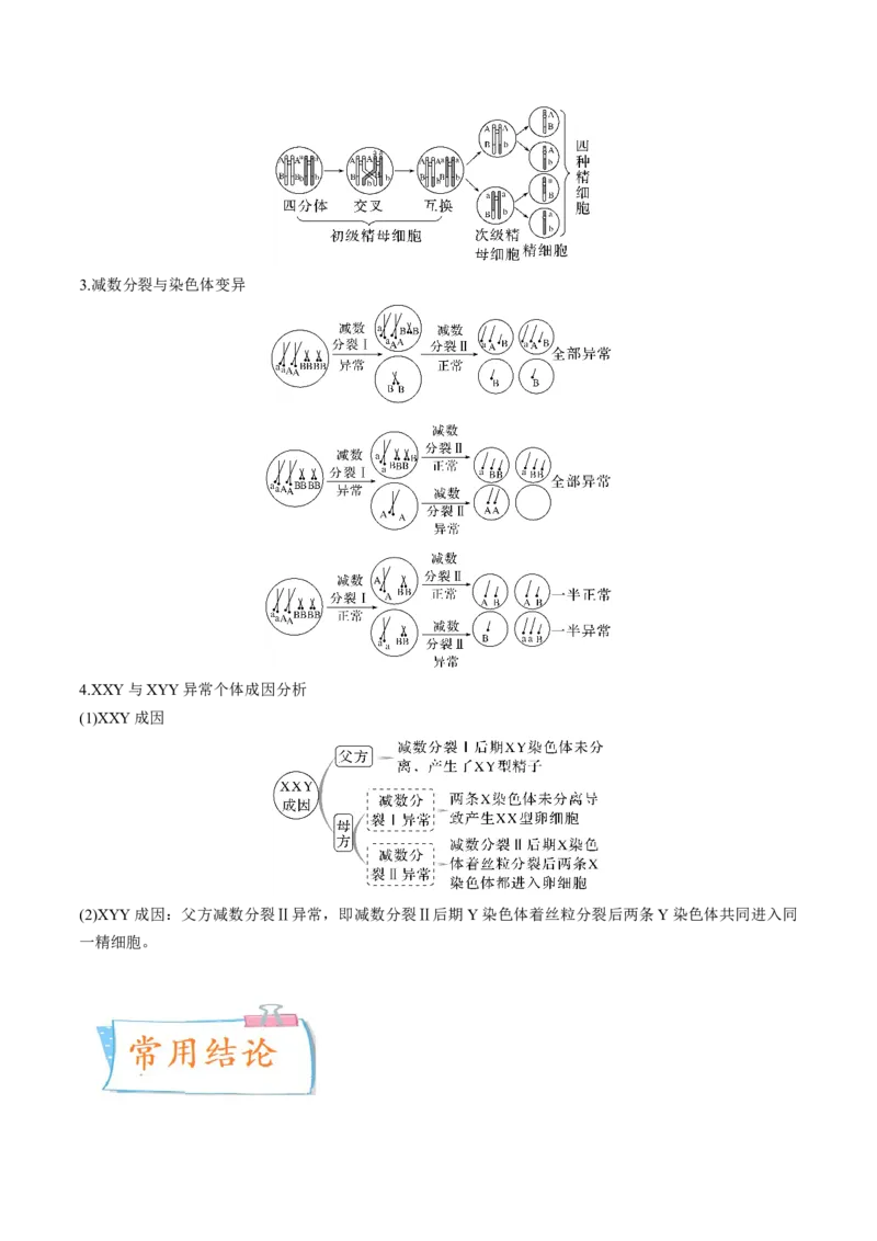 考向08减数分裂和受精作用-备战2023年高考生物一轮复习考点微专题（全国通用）（原卷版）_通用版（老高考）复习资料_2023年复习资料_一轮复习