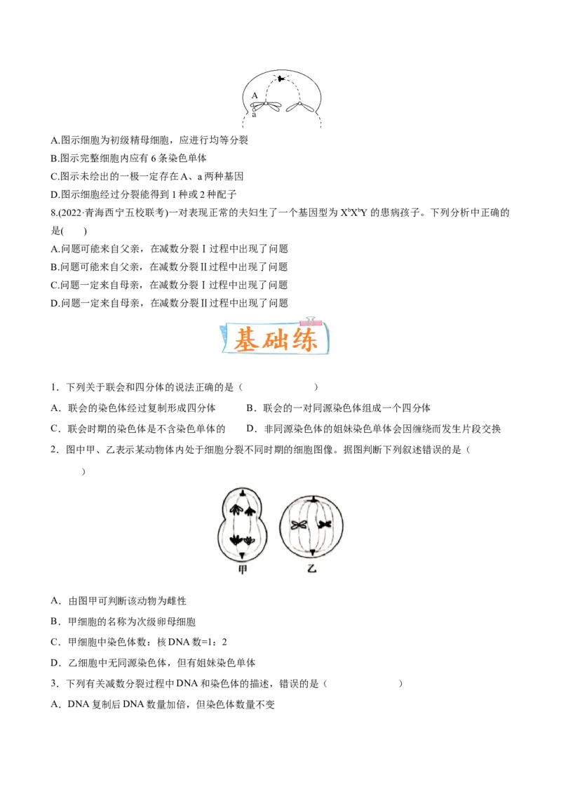 考向08减数分裂和受精作用-备战2023年高考生物一轮复习考点微专题（全国通用）（原卷版）_通用版（老高考）复习资料_2023年复习资料_一轮复习