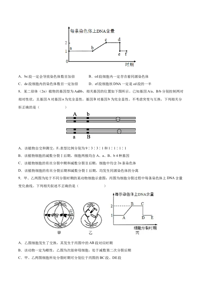 考向08减数分裂和受精作用-备战2023年高考生物一轮复习考点微专题（全国通用）（原卷版）_通用版（老高考）复习资料_2023年复习资料_一轮复习