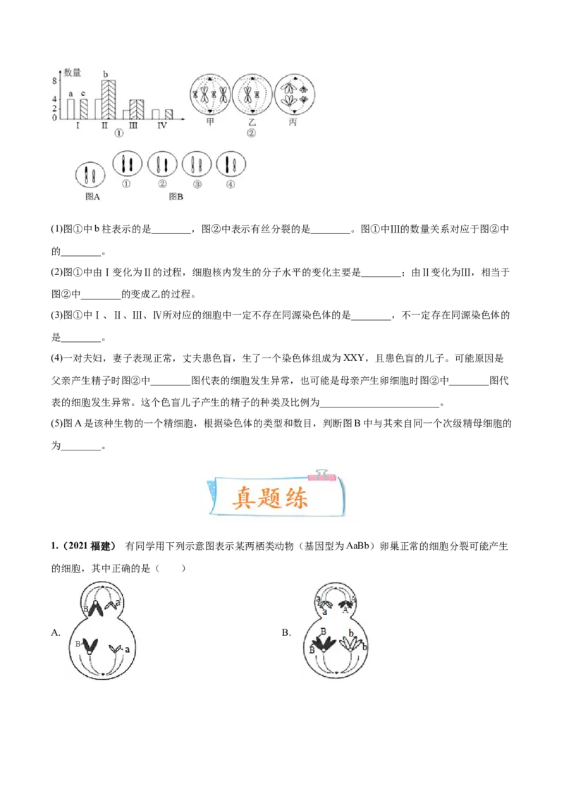 考向08减数分裂和受精作用-备战2023年高考生物一轮复习考点微专题（全国通用）（原卷版）_通用版（老高考）复习资料_2023年复习资料_一轮复习