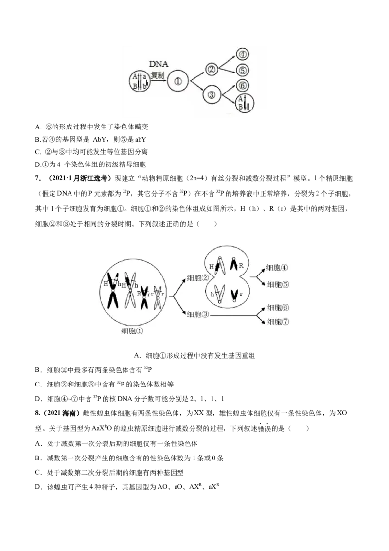 考向08减数分裂和受精作用-备战2023年高考生物一轮复习考点微专题（全国通用）（原卷版）_通用版（老高考）复习资料_2023年复习资料_一轮复习