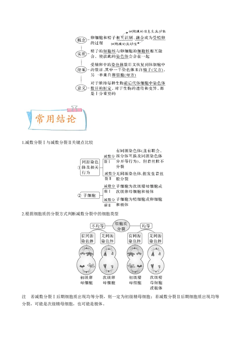 考向08减数分裂和受精作用-备战2023年高考生物一轮复习考点微专题（全国通用）（原卷版）_通用版（老高考）复习资料_2023年复习资料_一轮复习