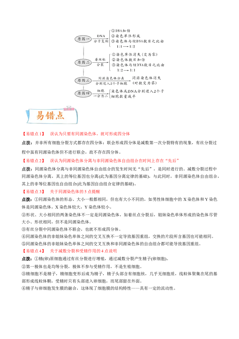 考向08减数分裂和受精作用-备战2023年高考生物一轮复习考点微专题（全国通用）（原卷版）_通用版（老高考）复习资料_2023年复习资料_一轮复习