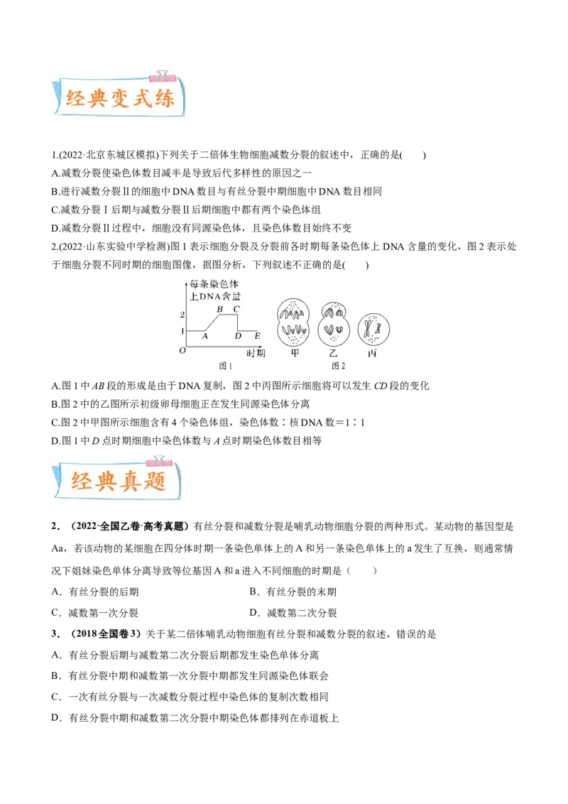 考向08减数分裂和受精作用-备战2023年高考生物一轮复习考点微专题（全国通用）（原卷版）_通用版（老高考）复习资料_2023年复习资料_一轮复习