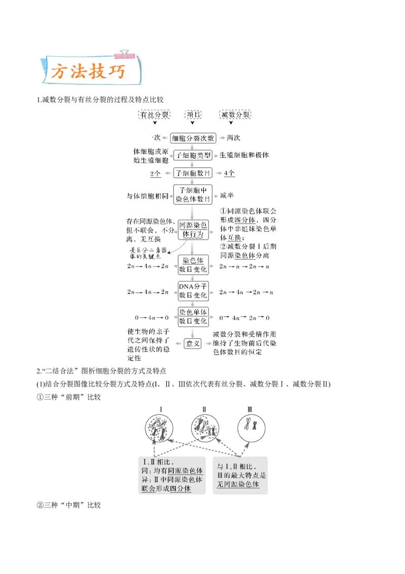 考向08减数分裂和受精作用-备战2023年高考生物一轮复习考点微专题（全国通用）（原卷版）_通用版（老高考）复习资料_2023年复习资料_一轮复习