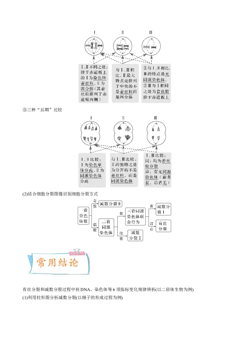 考向08减数分裂和受精作用-备战2023年高考生物一轮复习考点微专题（全国通用）（原卷版）_通用版（老高考）复习资料_2023年复习资料_一轮复习
