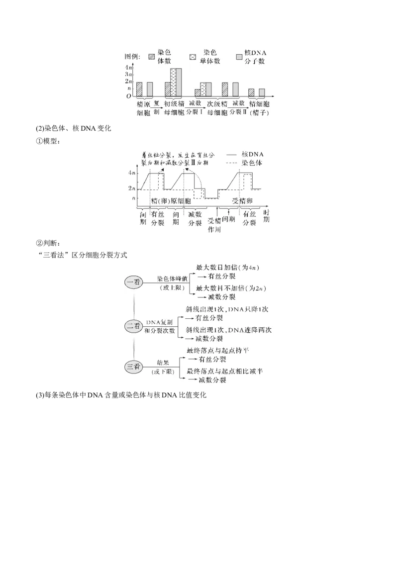 考向08减数分裂和受精作用-备战2023年高考生物一轮复习考点微专题（全国通用）（原卷版）_通用版（老高考）复习资料_2023年复习资料_一轮复习