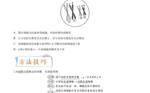 考向08减数分裂和受精作用-备战2023年高考生物一轮复习考点微专题（全国通用）（原卷版）_通用版（老高考）复习资料_2023年复习资料_一轮复习