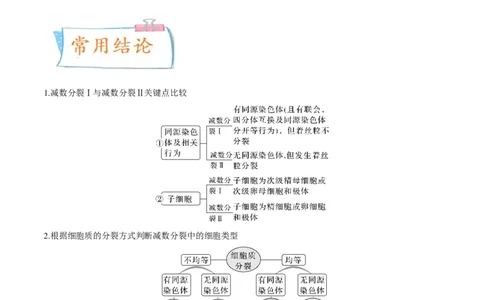 考向08减数分裂和受精作用-备战2023年高考生物一轮复习考点微专题（全国通用）（原卷版）_通用版（老高考）复习资料_2023年复习资料_一轮复习