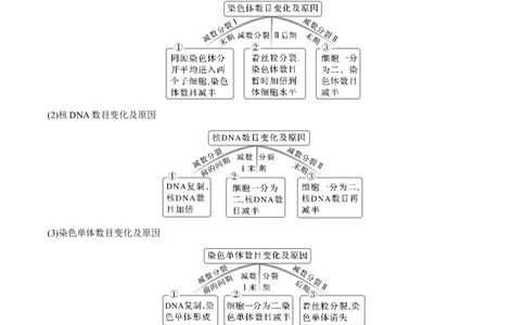 考向08减数分裂和受精作用-备战2023年高考生物一轮复习考点微专题（全国通用）（原卷版）_通用版（老高考）复习资料_2023年复习资料_一轮复习