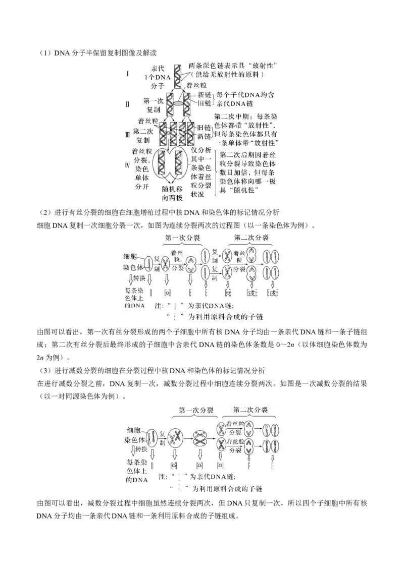 考向12基因的本质-备战2023年高考生物一轮复习考点微专题（全国通用）（原卷版）_通用版（老高考）复习资料_2023年复习资料_一轮复习