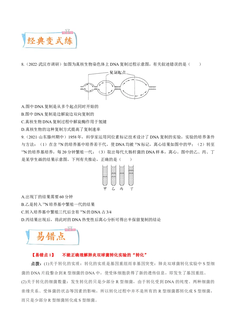 考向12基因的本质-备战2023年高考生物一轮复习考点微专题（全国通用）（原卷版）_通用版（老高考）复习资料_2023年复习资料_一轮复习