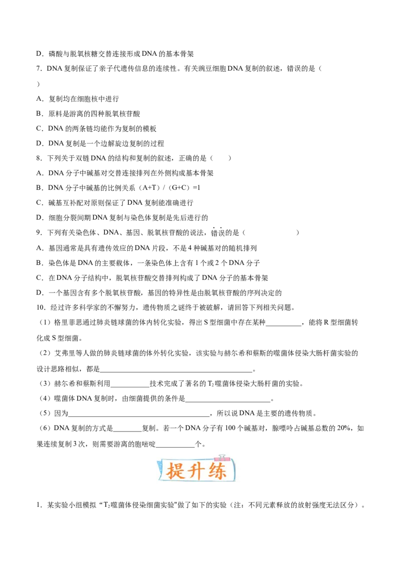 考向12基因的本质-备战2023年高考生物一轮复习考点微专题（全国通用）（原卷版）_通用版（老高考）复习资料_2023年复习资料_一轮复习
