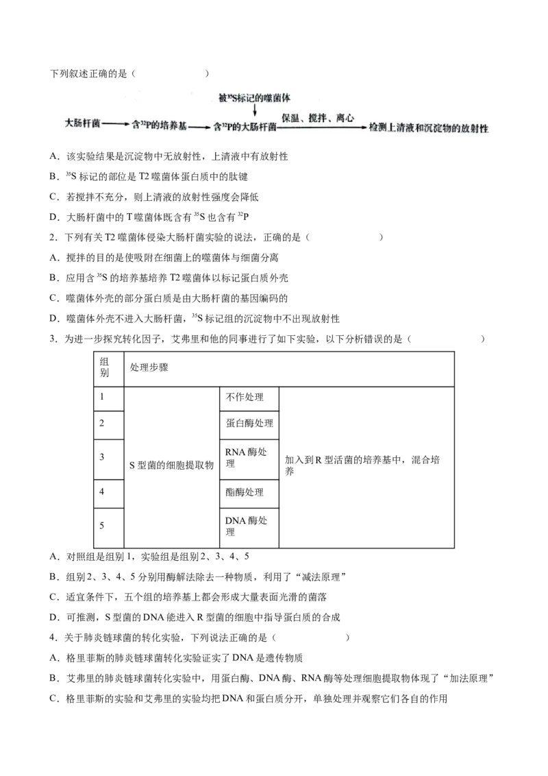考向12基因的本质-备战2023年高考生物一轮复习考点微专题（全国通用）（原卷版）_通用版（老高考）复习资料_2023年复习资料_一轮复习