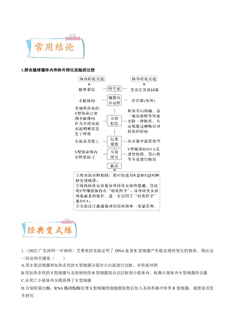 考向12基因的本质-备战2023年高考生物一轮复习考点微专题（全国通用）（原卷版）_通用版（老高考）复习资料_2023年复习资料_一轮复习