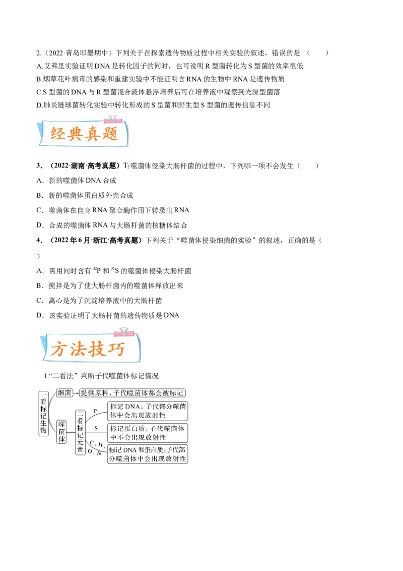 考向12基因的本质-备战2023年高考生物一轮复习考点微专题（全国通用）（原卷版）_通用版（老高考）复习资料_2023年复习资料_一轮复习