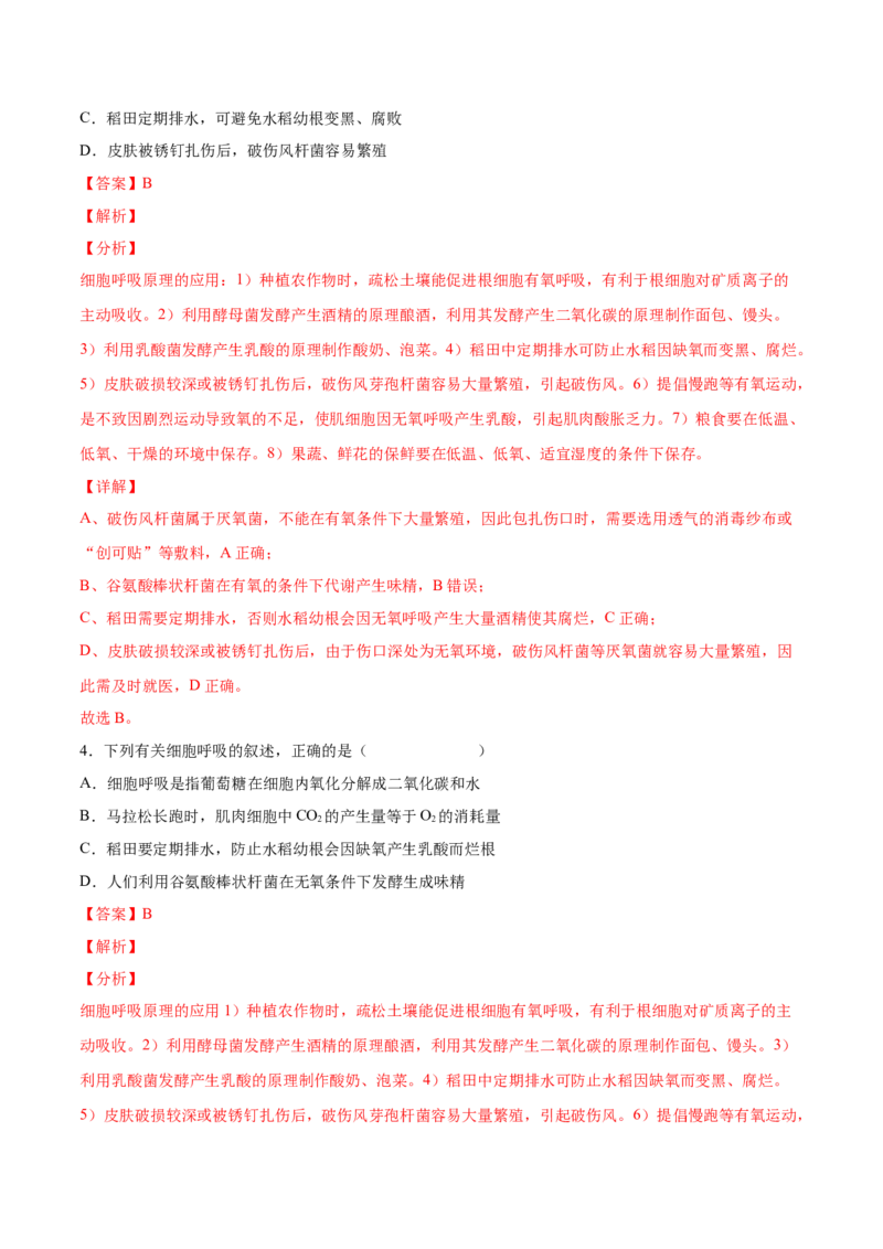 考向05细胞呼吸-备战2023年高考生物一轮复习考点微专题（全国通用）（解析版）_通用版（老高考）复习资料_2023年复习资料_一轮复习_备战2023年高考生物一轮复习考点微专题（全国通用）