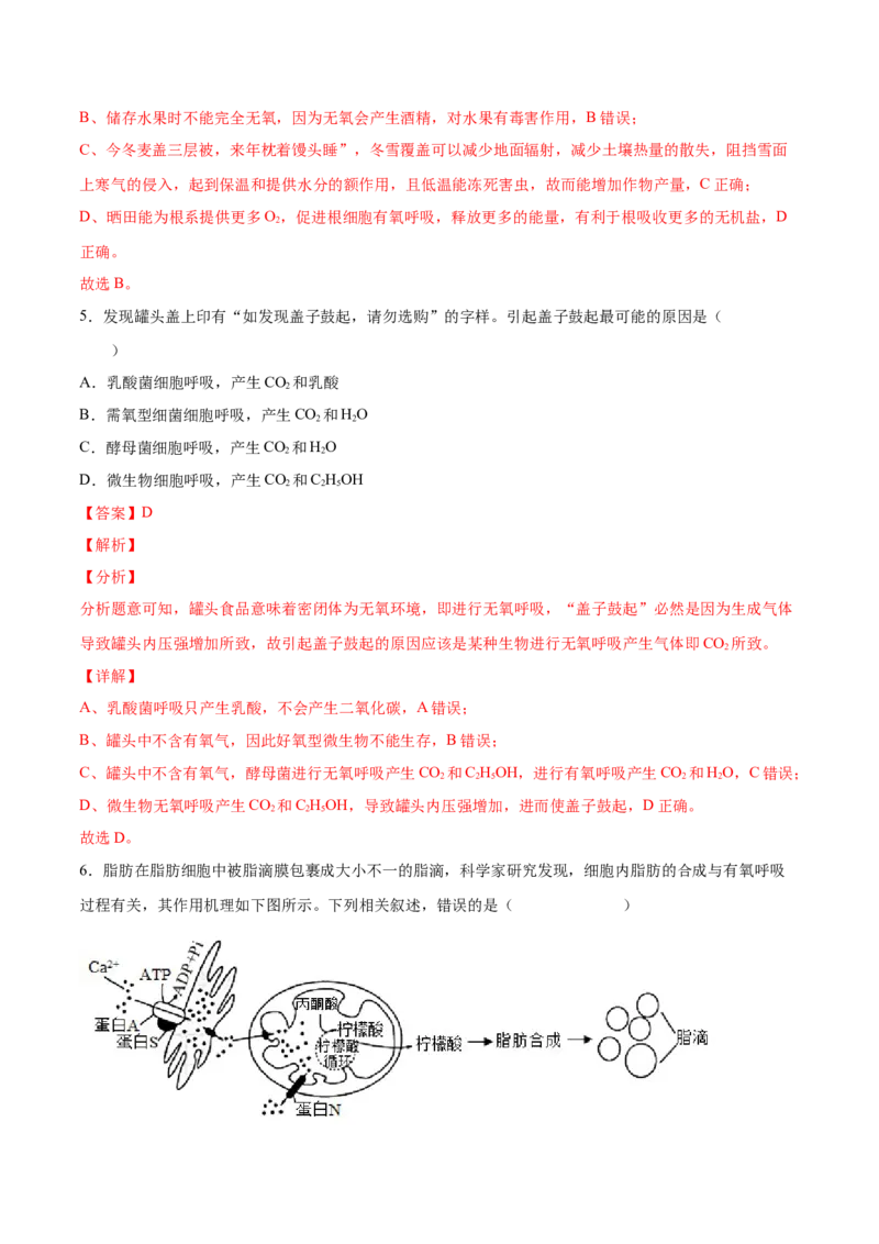 考向05细胞呼吸-备战2023年高考生物一轮复习考点微专题（全国通用）（解析版）_通用版（老高考）复习资料_2023年复习资料_一轮复习_备战2023年高考生物一轮复习考点微专题（全国通用）