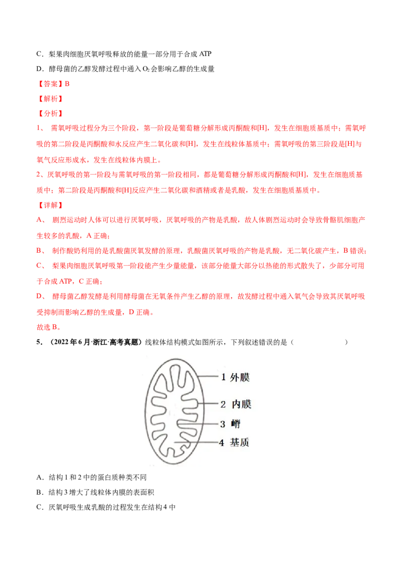 考向05细胞呼吸-备战2023年高考生物一轮复习考点微专题（全国通用）（解析版）_通用版（老高考）复习资料_2023年复习资料_一轮复习_备战2023年高考生物一轮复习考点微专题（全国通用）