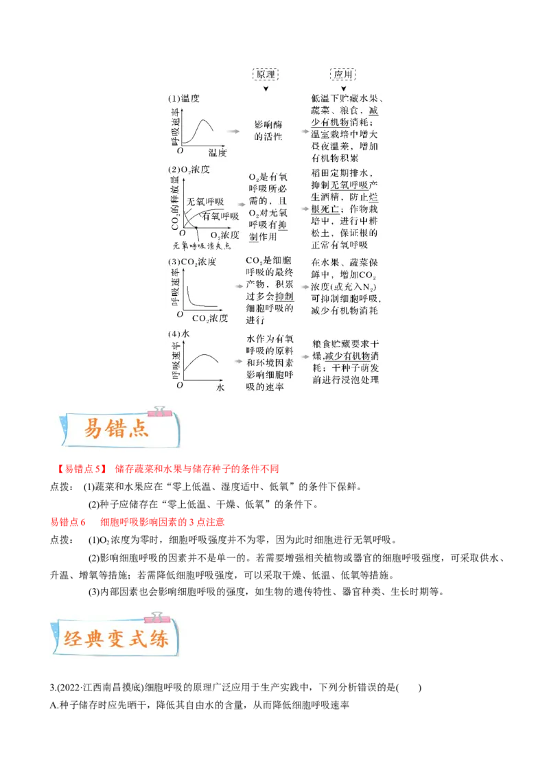 考向05细胞呼吸-备战2023年高考生物一轮复习考点微专题（全国通用）（解析版）_通用版（老高考）复习资料_2023年复习资料_一轮复习_备战2023年高考生物一轮复习考点微专题（全国通用）