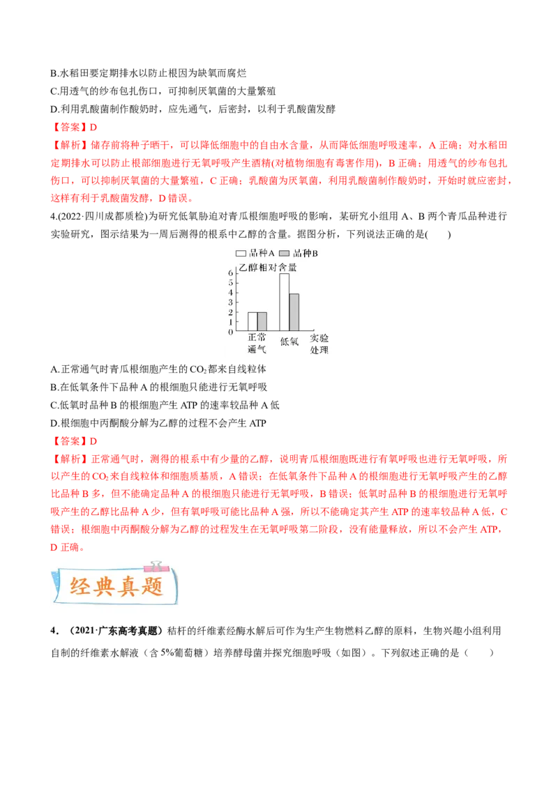 考向05细胞呼吸-备战2023年高考生物一轮复习考点微专题（全国通用）（解析版）_通用版（老高考）复习资料_2023年复习资料_一轮复习_备战2023年高考生物一轮复习考点微专题（全国通用）