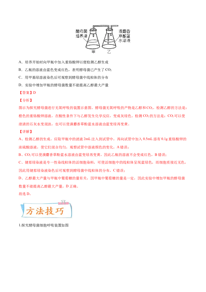 考向05细胞呼吸-备战2023年高考生物一轮复习考点微专题（全国通用）（解析版）_通用版（老高考）复习资料_2023年复习资料_一轮复习_备战2023年高考生物一轮复习考点微专题（全国通用）