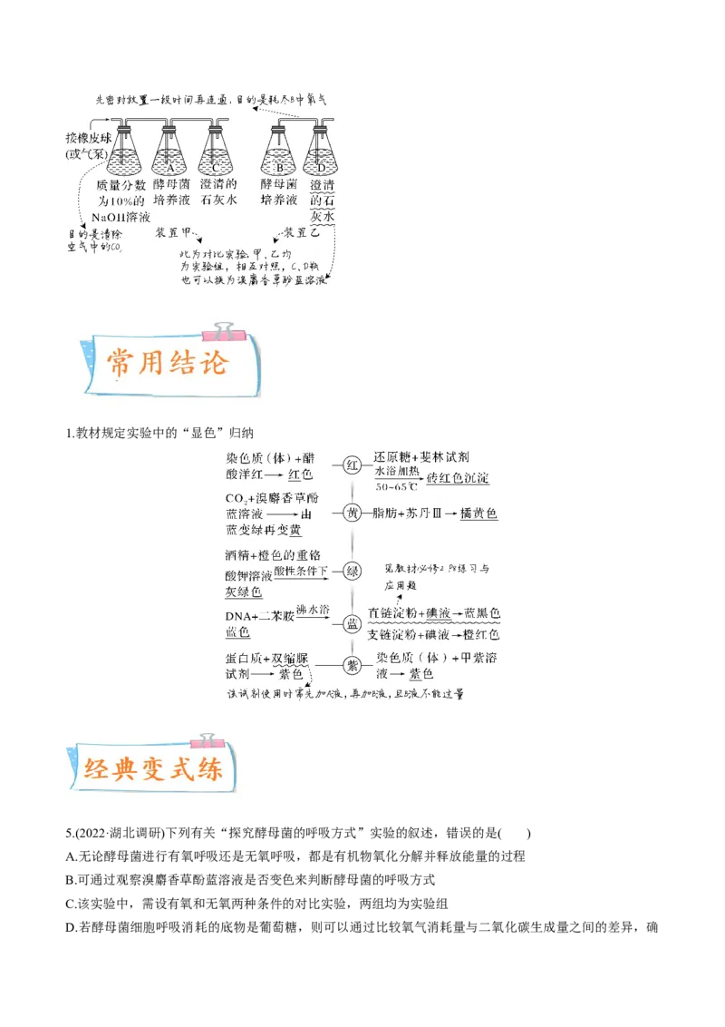 考向05细胞呼吸-备战2023年高考生物一轮复习考点微专题（全国通用）（解析版）_通用版（老高考）复习资料_2023年复习资料_一轮复习_备战2023年高考生物一轮复习考点微专题（全国通用）