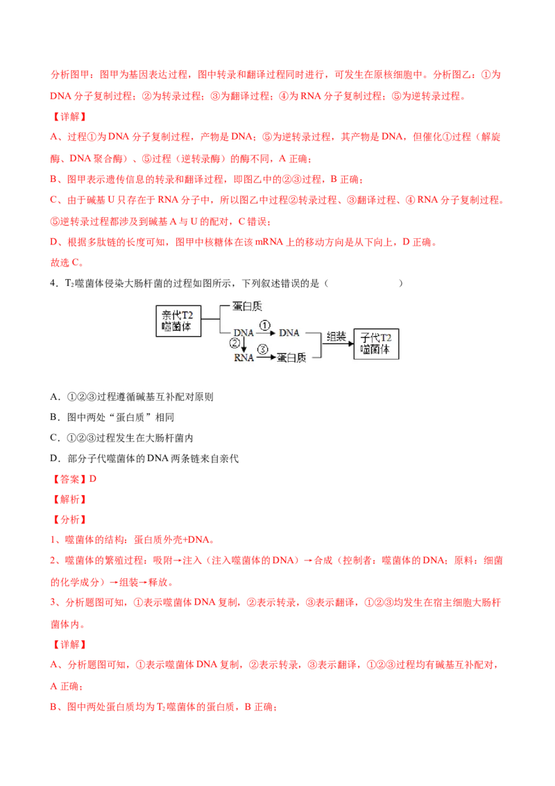 考向13基因的表达-备战2023年高考生物一轮复习考点微专题（全国通用）（解析版）_通用版（老高考）复习资料_2023年复习资料_一轮复习