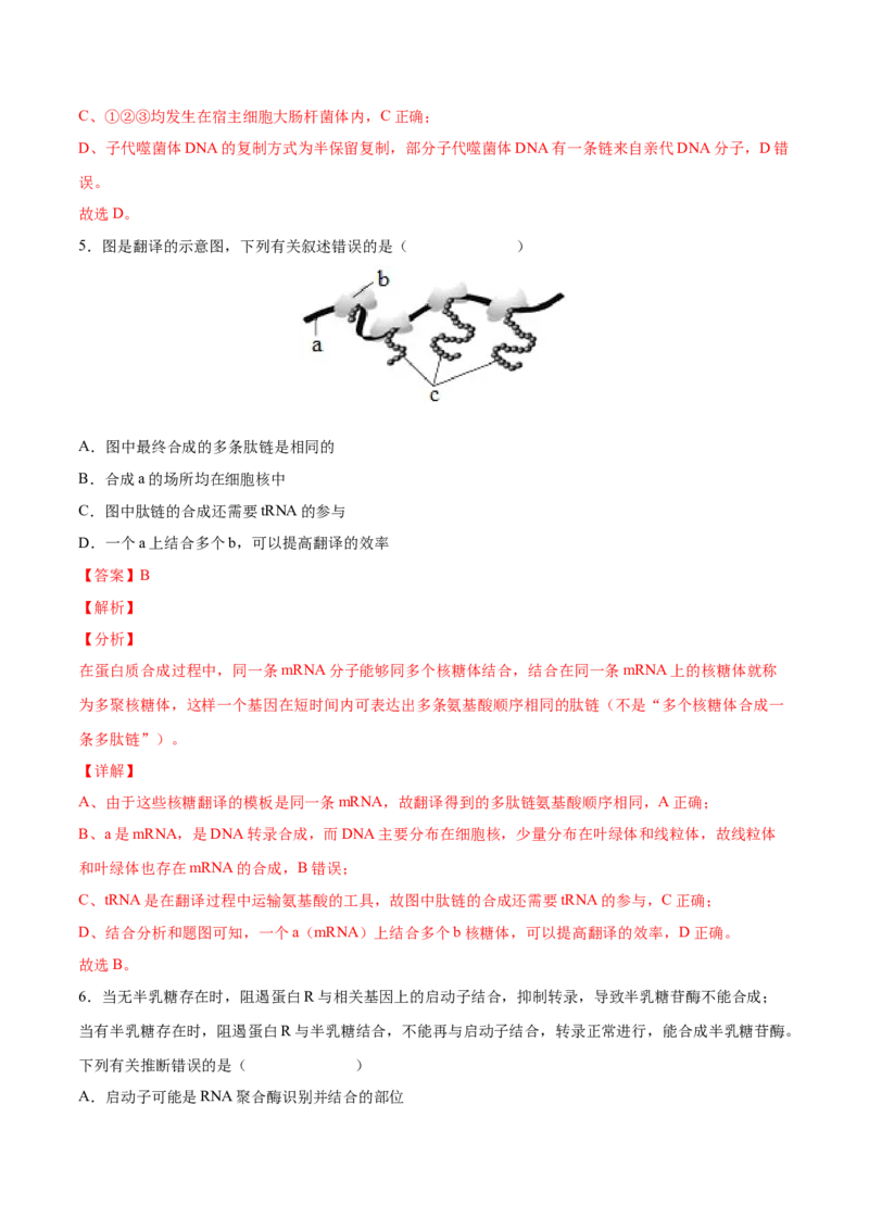 考向13基因的表达-备战2023年高考生物一轮复习考点微专题（全国通用）（解析版）_通用版（老高考）复习资料_2023年复习资料_一轮复习