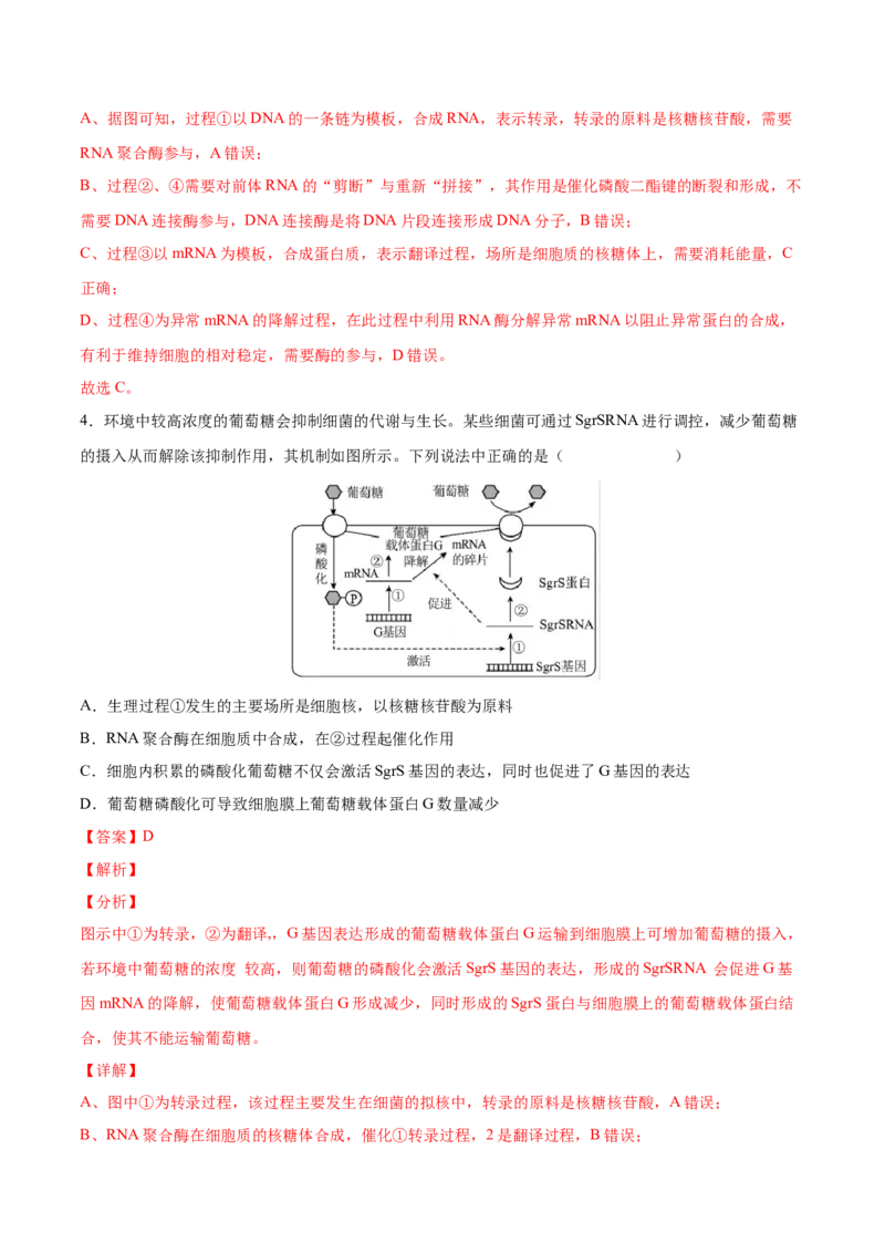 考向13基因的表达-备战2023年高考生物一轮复习考点微专题（全国通用）（解析版）_通用版（老高考）复习资料_2023年复习资料_一轮复习