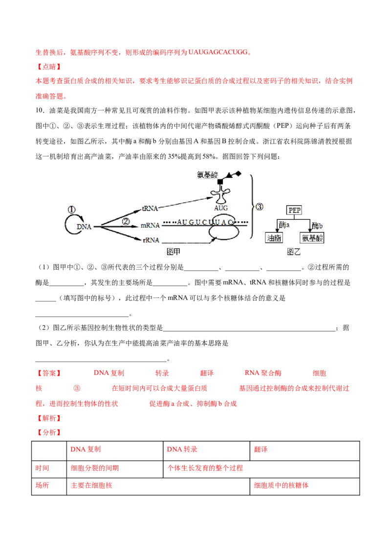 考向13基因的表达-备战2023年高考生物一轮复习考点微专题（全国通用）（解析版）_通用版（老高考）复习资料_2023年复习资料_一轮复习