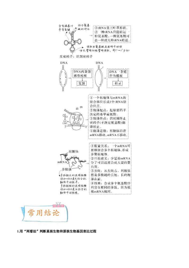 考向13基因的表达-备战2023年高考生物一轮复习考点微专题（全国通用）（解析版）_通用版（老高考）复习资料_2023年复习资料_一轮复习