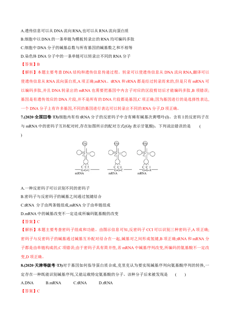 考向13基因的表达-备战2023年高考生物一轮复习考点微专题（全国通用）（解析版）_通用版（老高考）复习资料_2023年复习资料_一轮复习