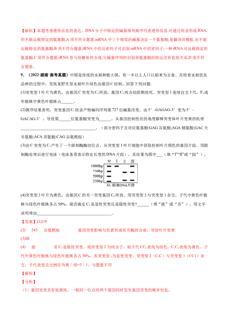 考向13基因的表达-备战2023年高考生物一轮复习考点微专题（全国通用）（解析版）_通用版（老高考）复习资料_2023年复习资料_一轮复习