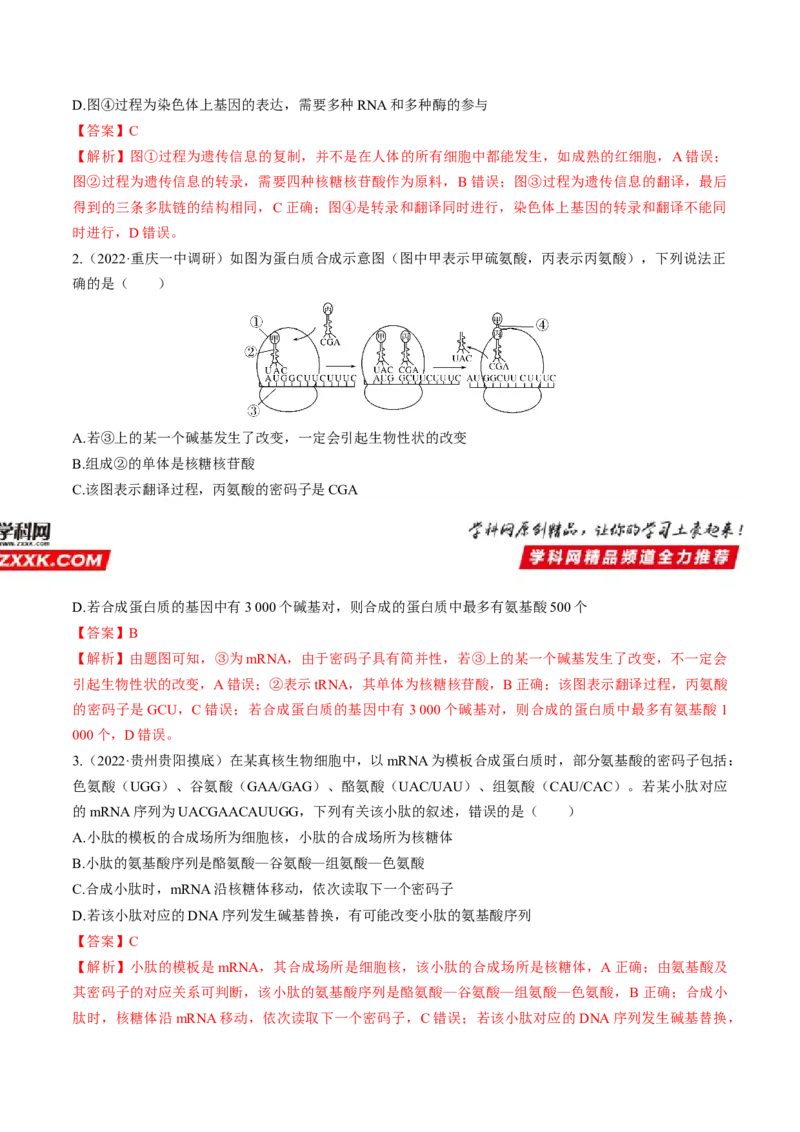 考向13基因的表达-备战2023年高考生物一轮复习考点微专题（全国通用）（解析版）_通用版（老高考）复习资料_2023年复习资料_一轮复习