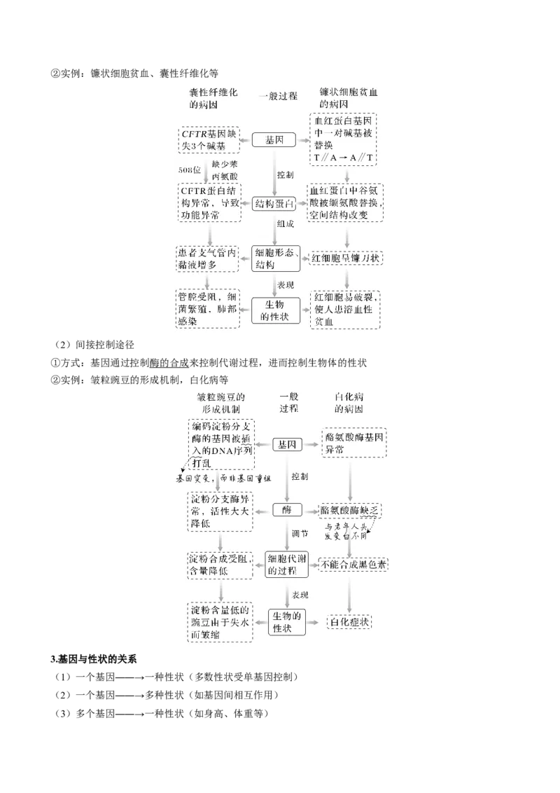 考向13基因的表达-备战2023年高考生物一轮复习考点微专题（全国通用）（解析版）_通用版（老高考）复习资料_2023年复习资料_一轮复习