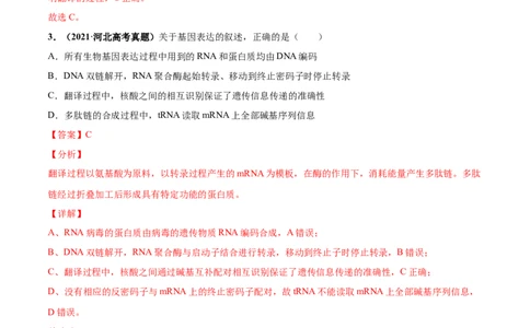 考向13基因的表达-备战2023年高考生物一轮复习考点微专题（全国通用）（解析版）_通用版（老高考）复习资料_2023年复习资料_一轮复习
