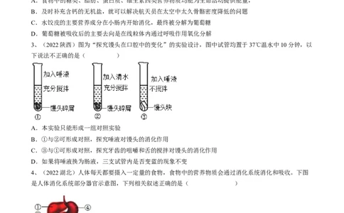 专题10人体的营养（原卷版）_6生物中考复习_2023年中考复习资料_一轮复习_2023年中考生物一轮复习讲练测_专题10人体的营养（专题精练）-2023年中考生物一轮复习讲练测
