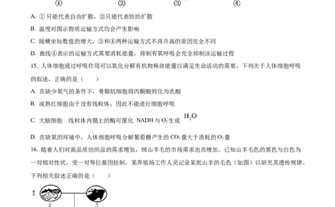 精品解析：河北省保定市五校2025-2026学年高一上学期9月月考生物试题（原卷版）_2025年10月高一试卷_251005河北省保定市五校2025-2026学年高一上学期9月月考