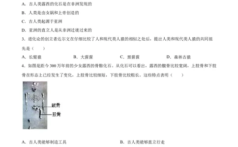 专题09人的由来（习题精练）（全国通用）（原卷版）_6生物中考复习_2024年中考复习资料_一轮复习资料_省心备考2024年中考生物一轮复习精讲精练（全国通用）