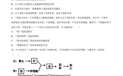 专题09人的由来（习题精练）（全国通用）（原卷版）_6生物中考复习_2024年中考复习资料_一轮复习资料_省心备考2024年中考生物一轮复习精讲精练（全国通用）
