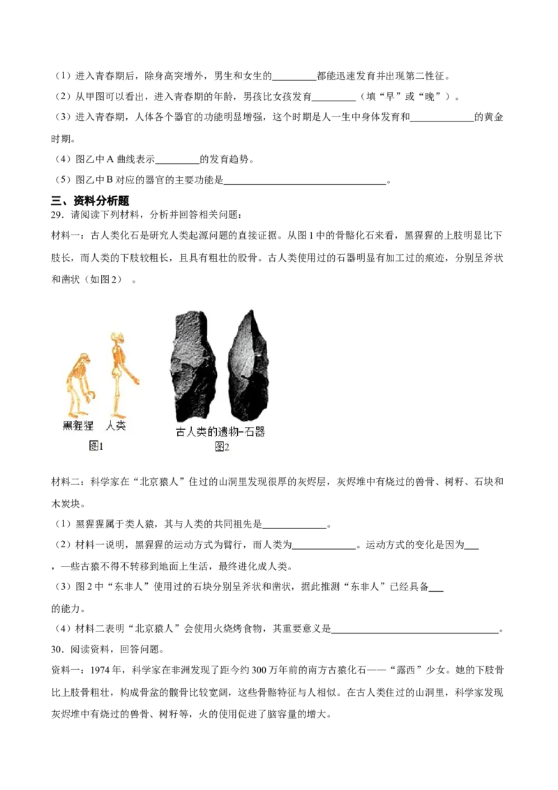 专题09人的由来（习题精练）（全国通用）（原卷版）_6生物中考复习_2024年中考复习资料_一轮复习资料_省心备考2024年中考生物一轮复习精讲精练（全国通用）